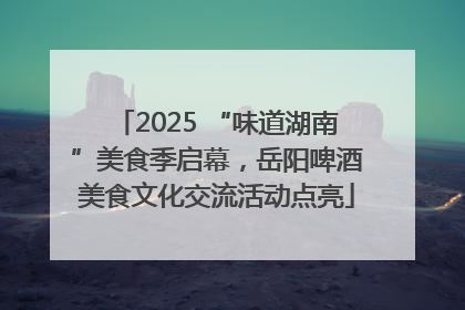 2025 “味道湖南”美食季启幕，岳阳啤酒美食文化交流活动点亮